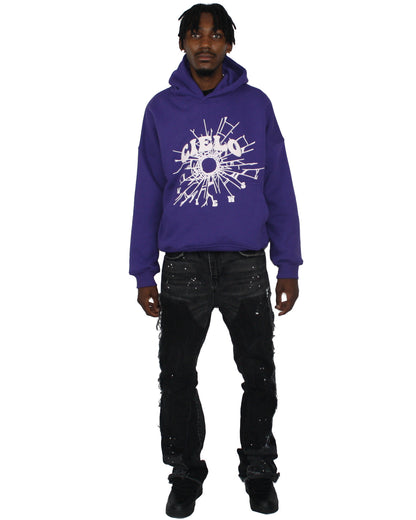 CHANGING VIEWS HOODIE PURPLE